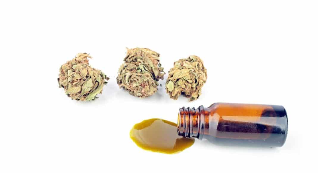 Cannabis Therapy