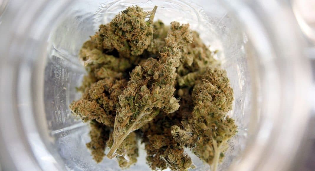 Cannabis Tax