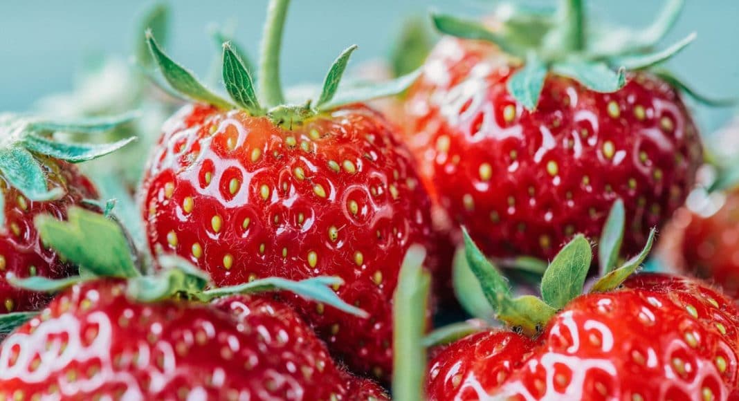 7 refreshing fruit beers to beat the summer heat
