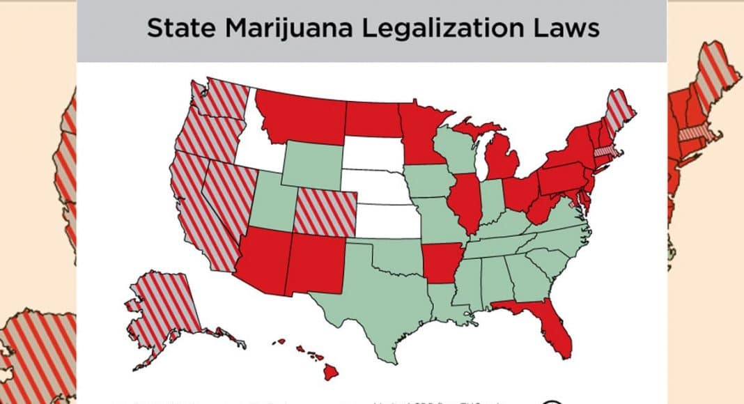 Marijuana Evolution