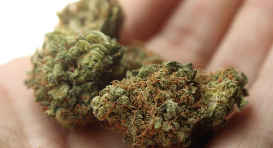 Marijuana Mecca