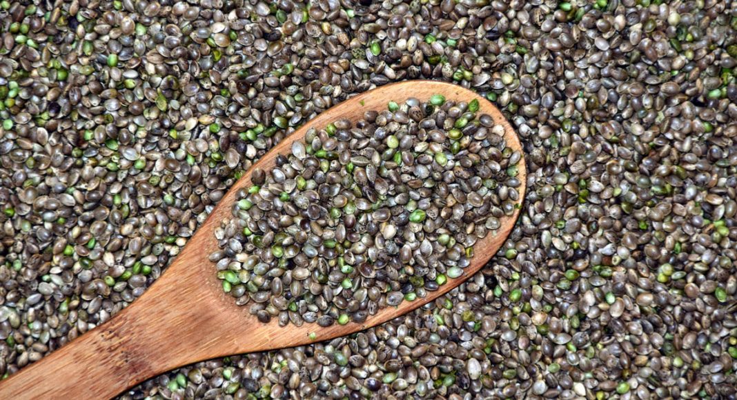 hemp cannabis product sales projected to hit a billion dollars in 3 years