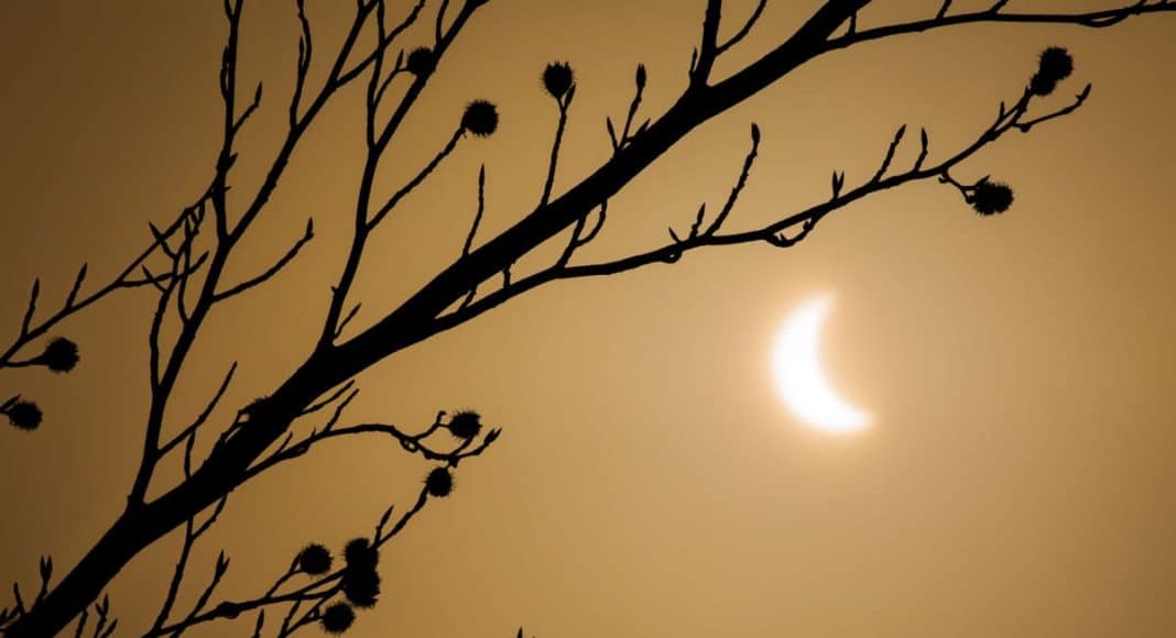 Photograph The Eclipse