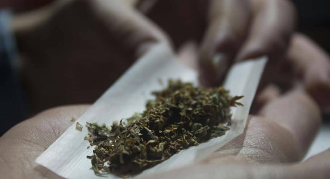 Marijuana's popularity