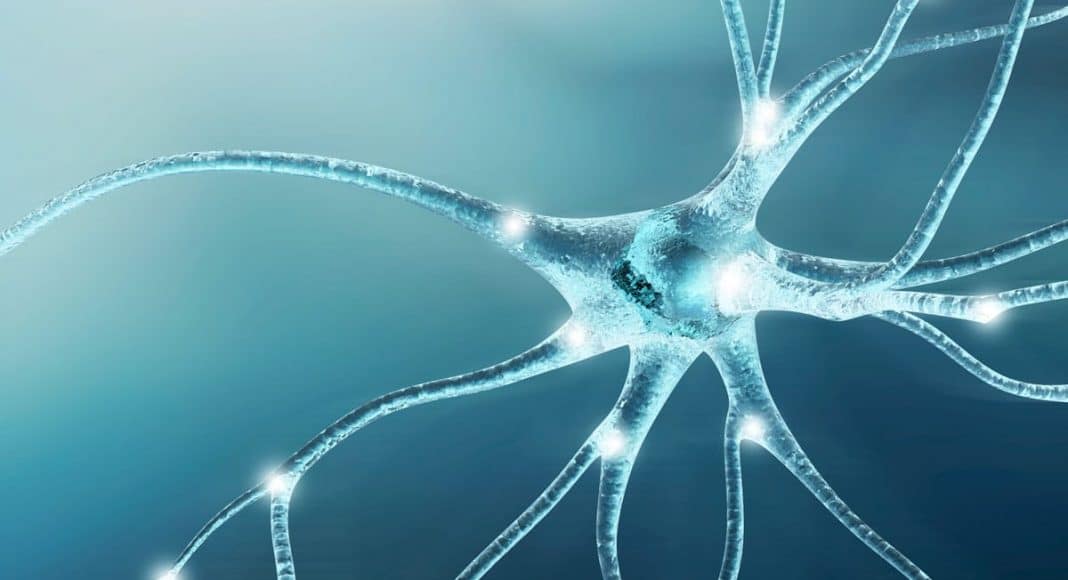Neuropathy