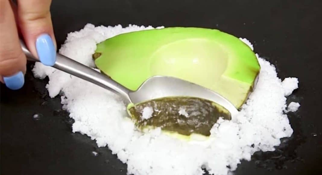 Avocado