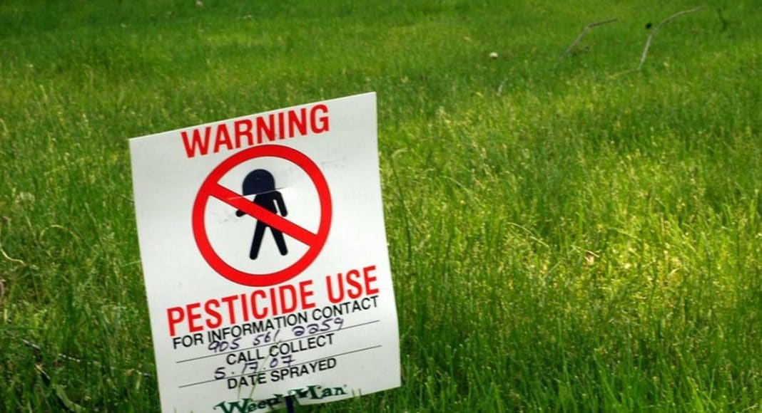 Marijuana Poisoning