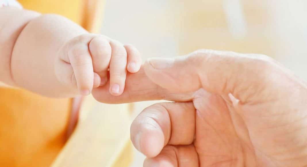 Foster Parent