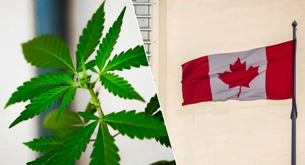 Canadians