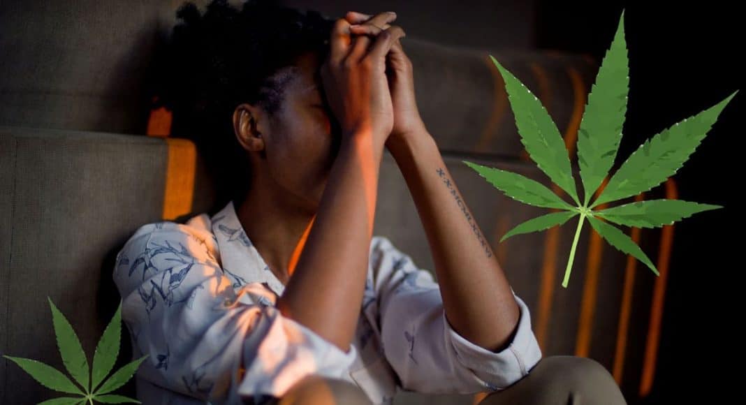 Exploring The Connection Between Marijuana And PTSD