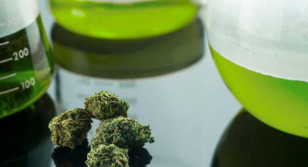 Federal Cannabis Research