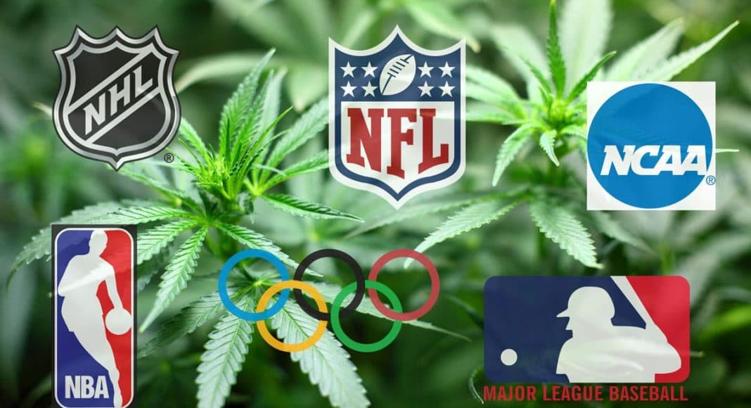 Test For Marijuana