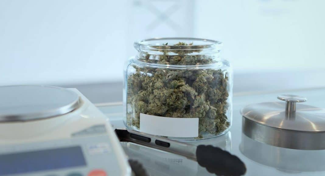mythbusters 5 medical cannabis beliefs that are completely wrong
