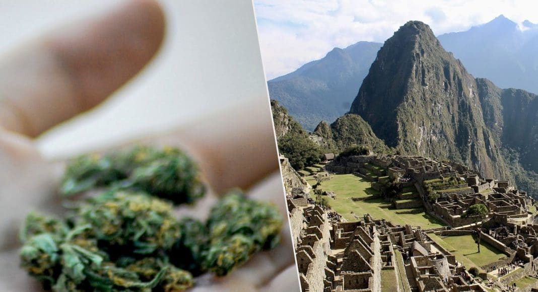 Legalize Medical Marijuana