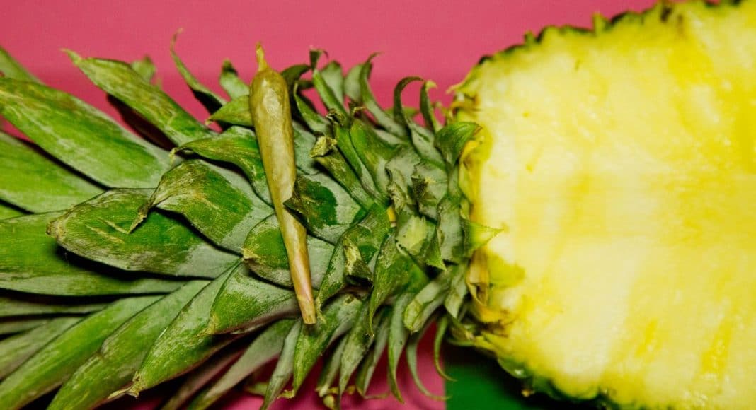 Ward Off Cold Season With Pineapple Cannabis Cough Syrup