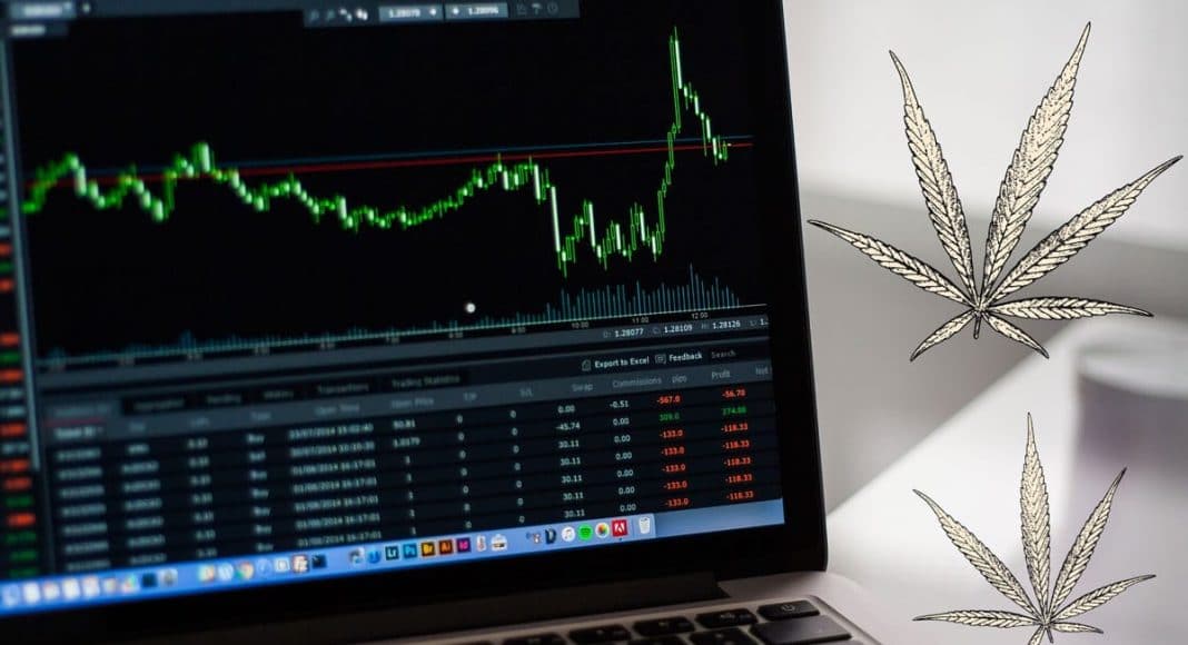cannabis stocks