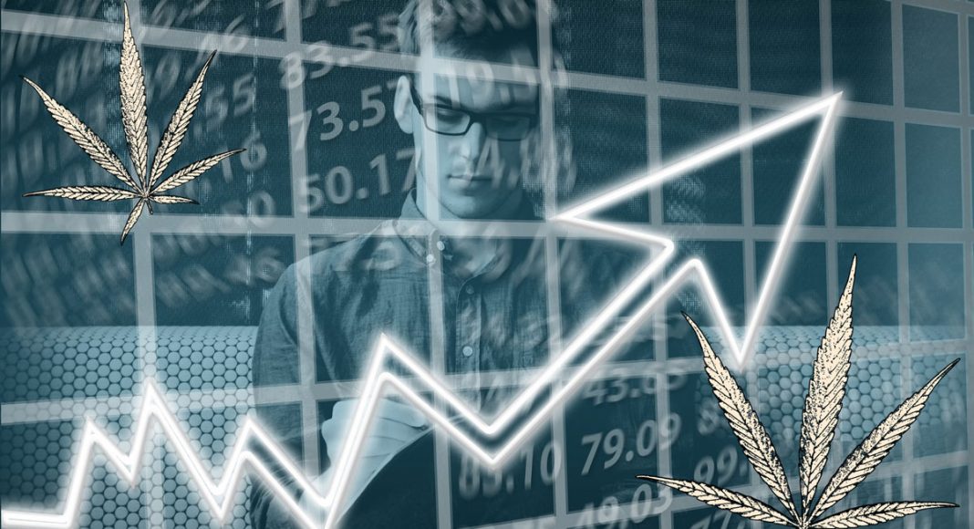 cannabis stocks