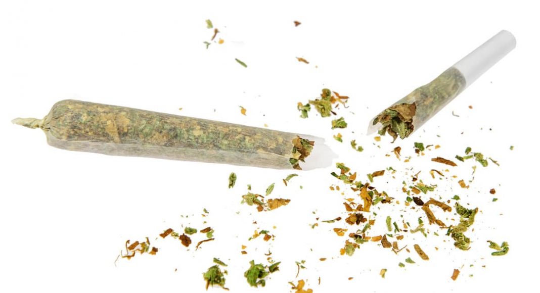 Lower Marijuana Tolerance