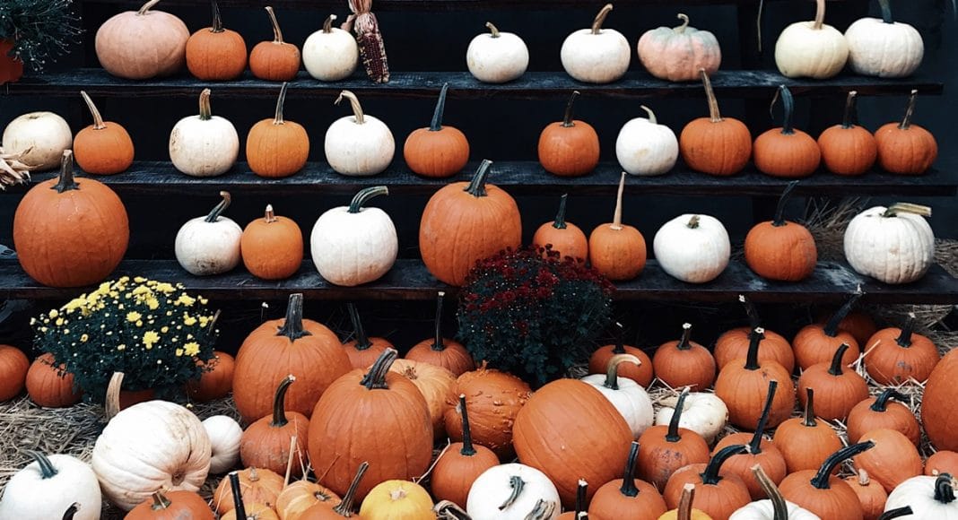Halloween Detox