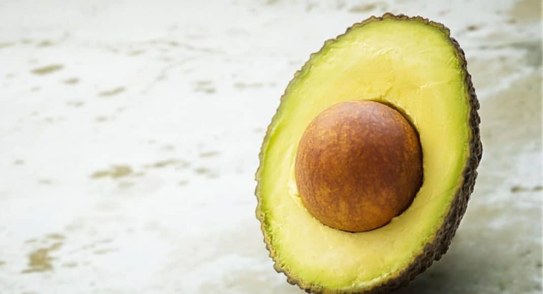Avocado Light