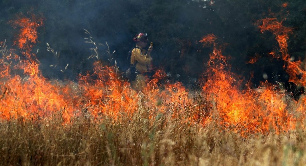 The California Fires and Cannabis