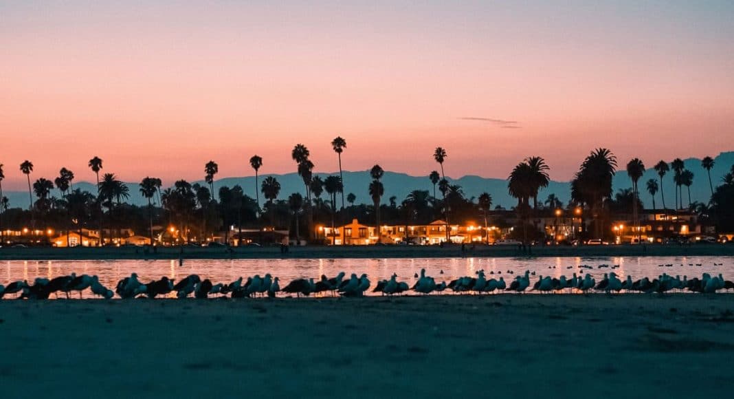 California's New Marijuana Rules