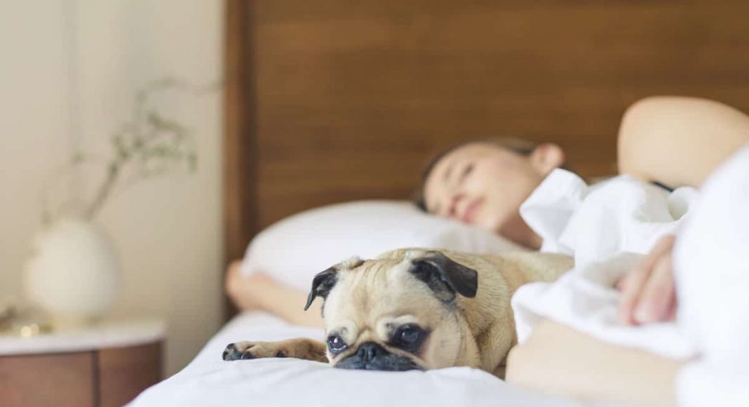 Marijuana And Sleep