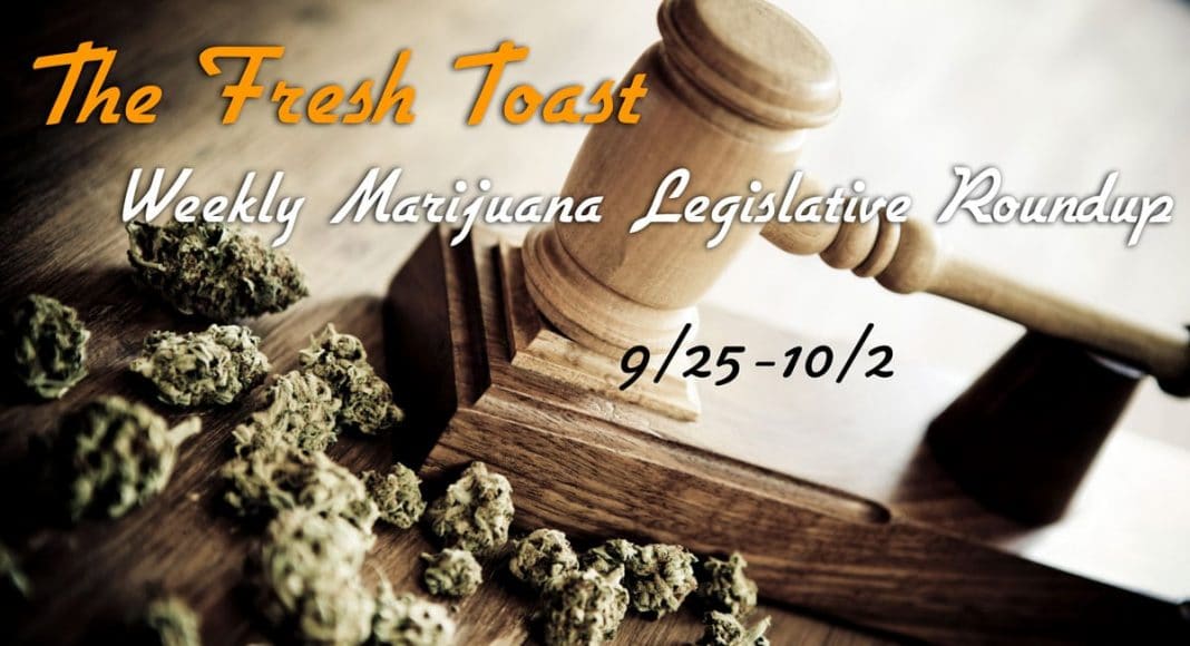 marijuana legislative roundup
