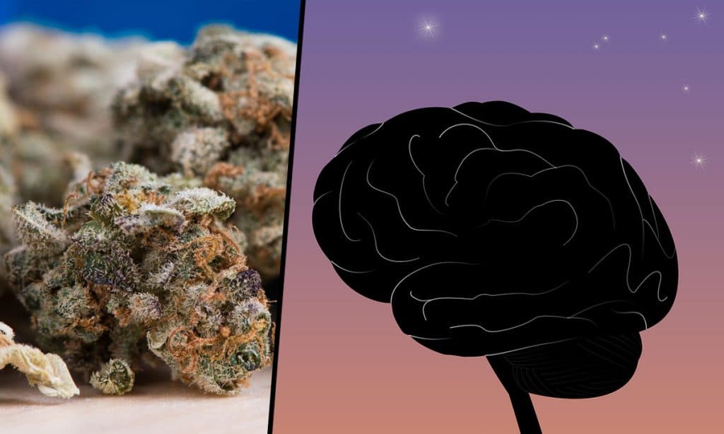 Marijuana
