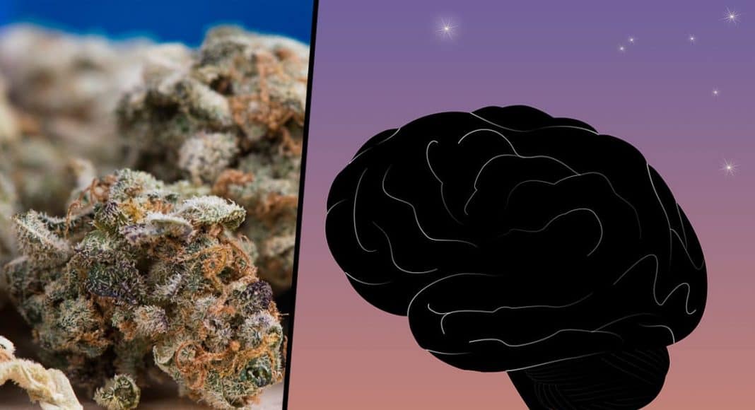 Marijuana