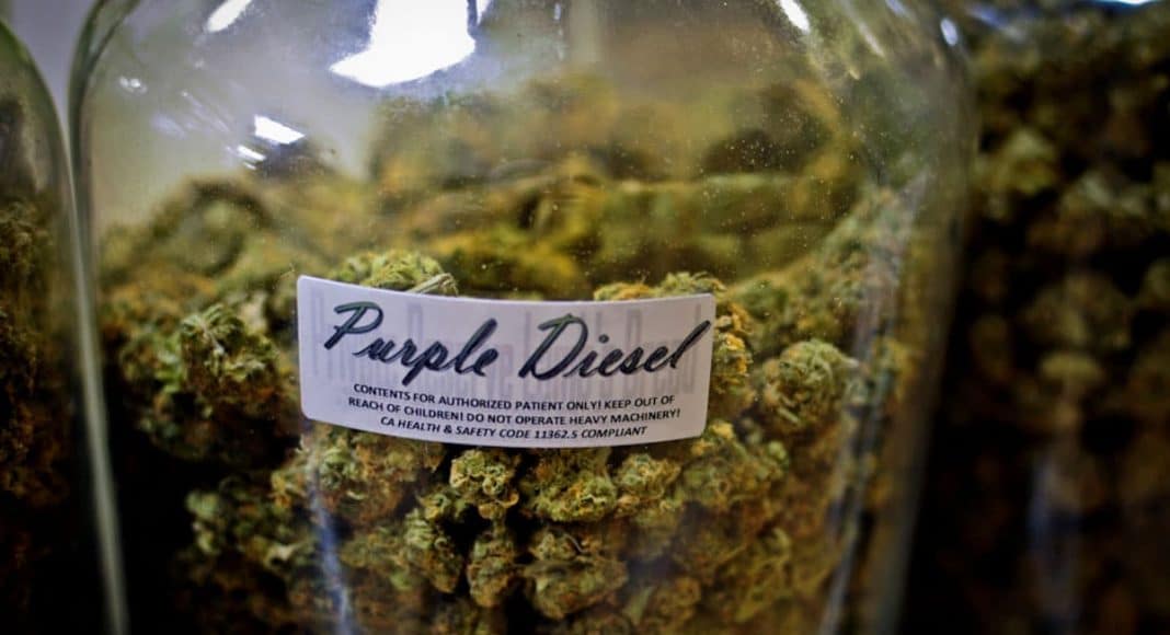 What You Need To Know About NJ’s Legal Marijuana Controversy
