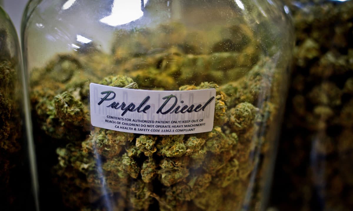 Medical Marijuana License