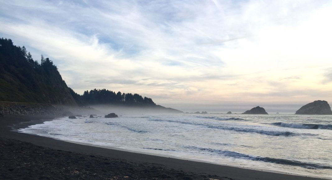 Must-See Cannabis Landmarks Along Highway 101