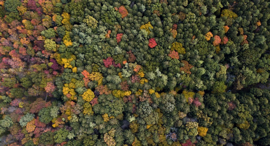 Pennsylvania