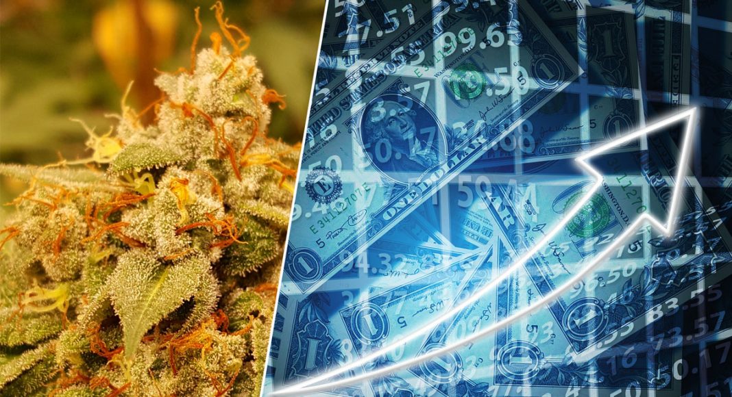 marijuana stock