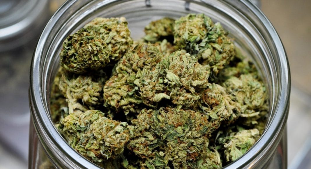 Marijuana
