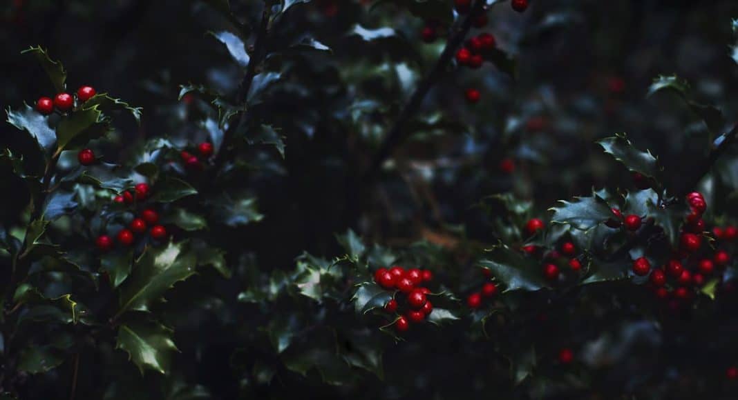 Deck The Halls