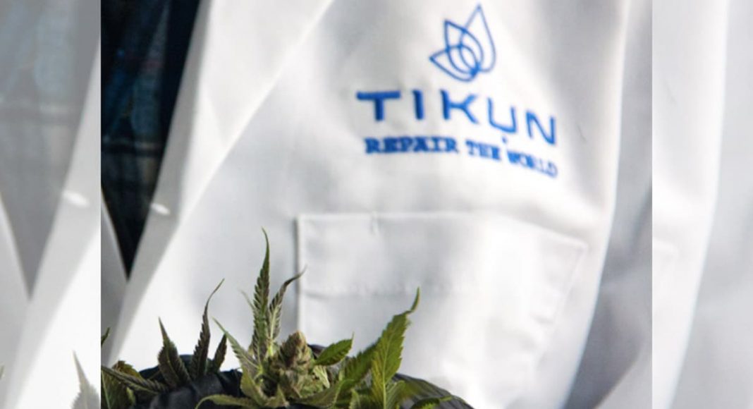 Israeli Premium Cannabis Brand