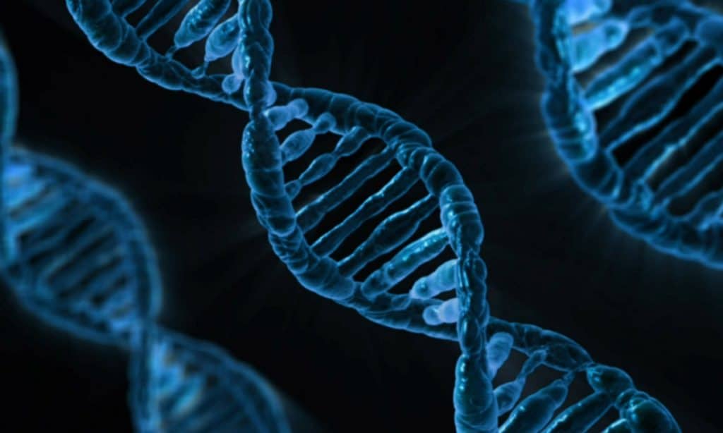 nice genes this new dating app using your dna to find your perfect match