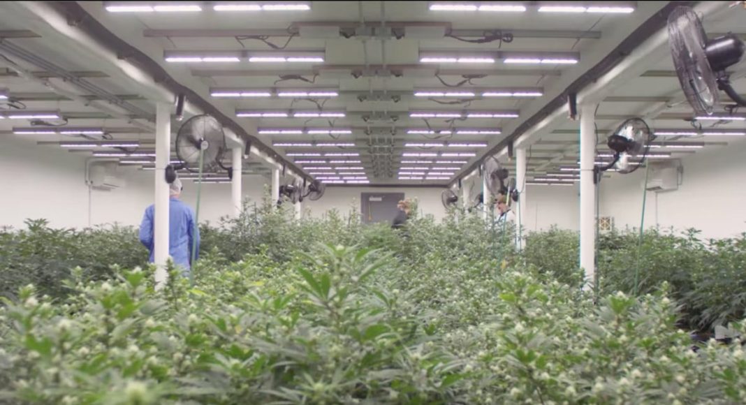 Oregon Video Campaign