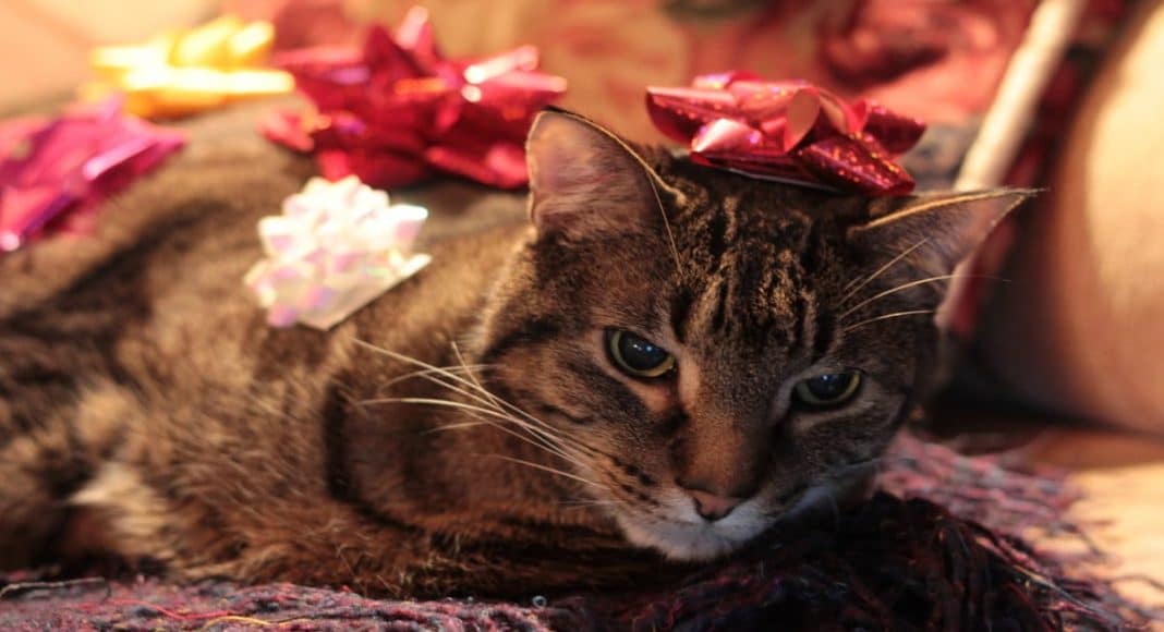Completely Over Christmas