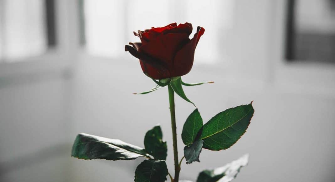 5 Cheap Ways To Give Your Partner The Best Valentine's Day Ever