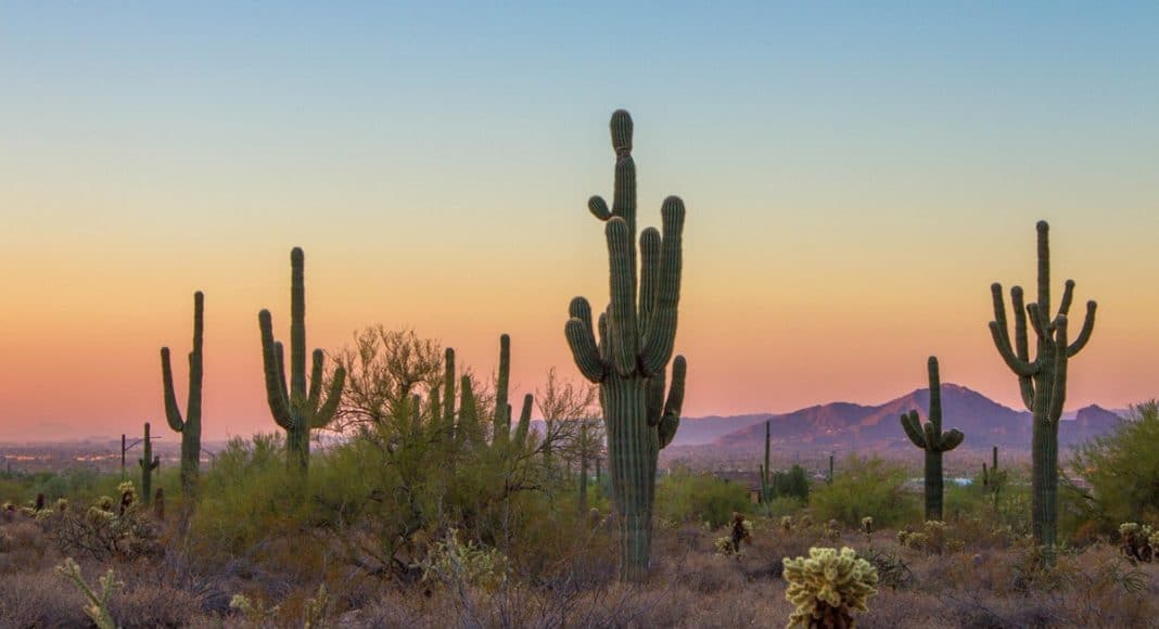 Arizona Medical Marijuana
