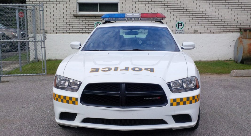 Canadian Cops Accidentally Eat Marijuana Edibles And Freak Out