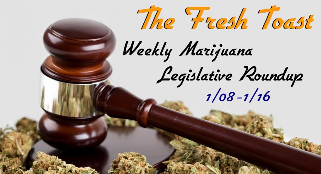 Marijuana Legislative Roundup