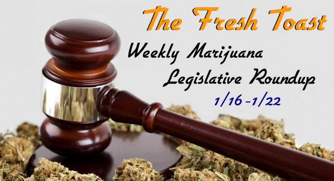 Marijuana Legislative Roundup