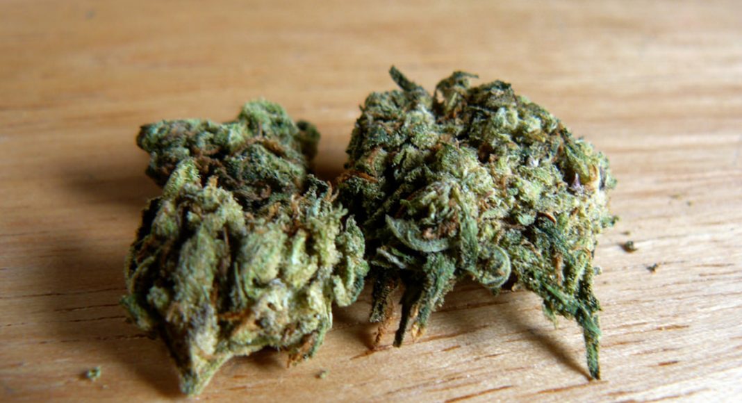 An Essential Guide To Making Your First Marijuana Experience A Great One
