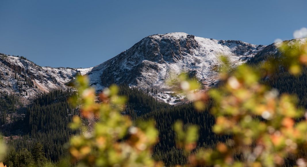 Aspen Is Selling More Marijuana Than Alcohol Right Now