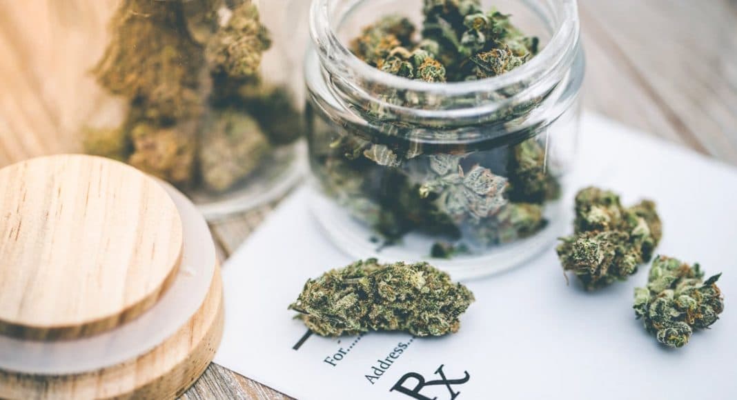 Here's Why There Has Never Been A Death From Cannabis Overdose