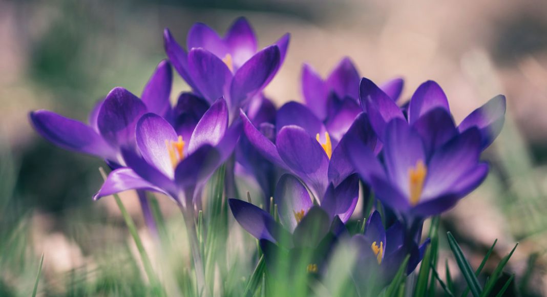 5 Spring Cleaning Hacks